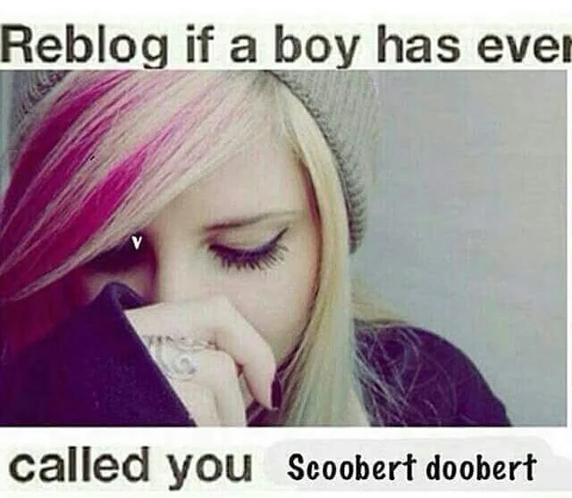 1036186a5e634a9a94e4.72793965.png