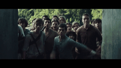 1059126a54e85964a8c5.97816129.gif
