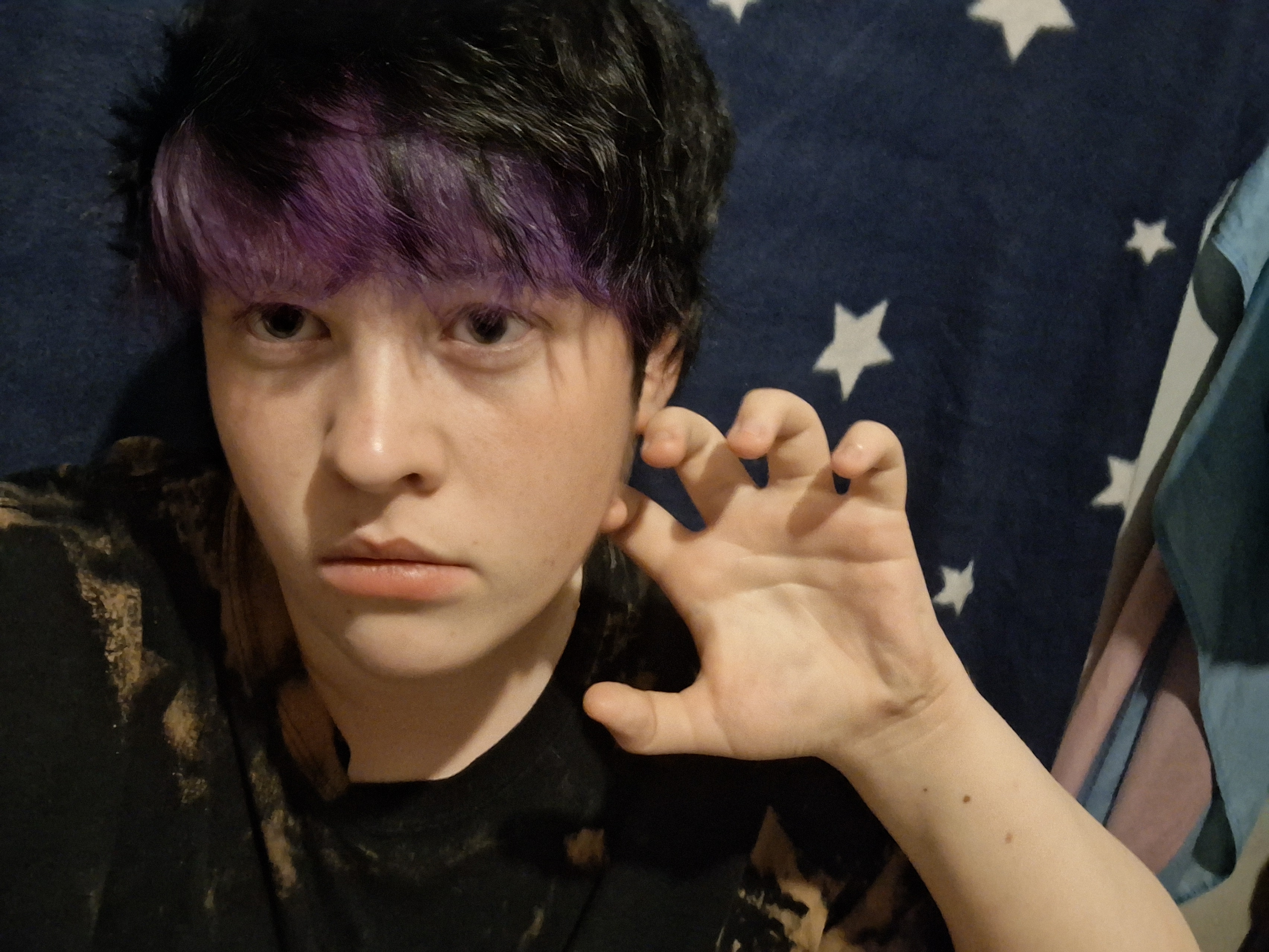1044956a8a3a9184d8f3.78638167.jpg