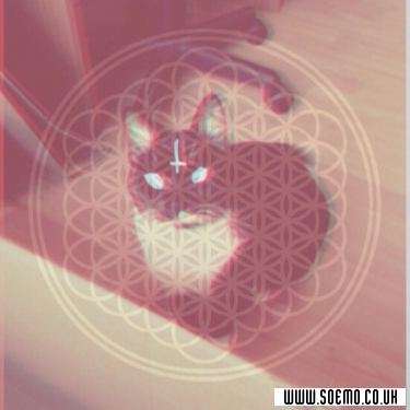 soEmo.co.uk - Emo Kids - EmoCat