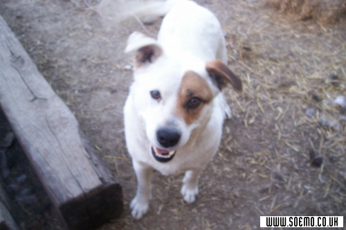 soEmo.co.uk - Emo Kids - XxXBriexLynelleXxX