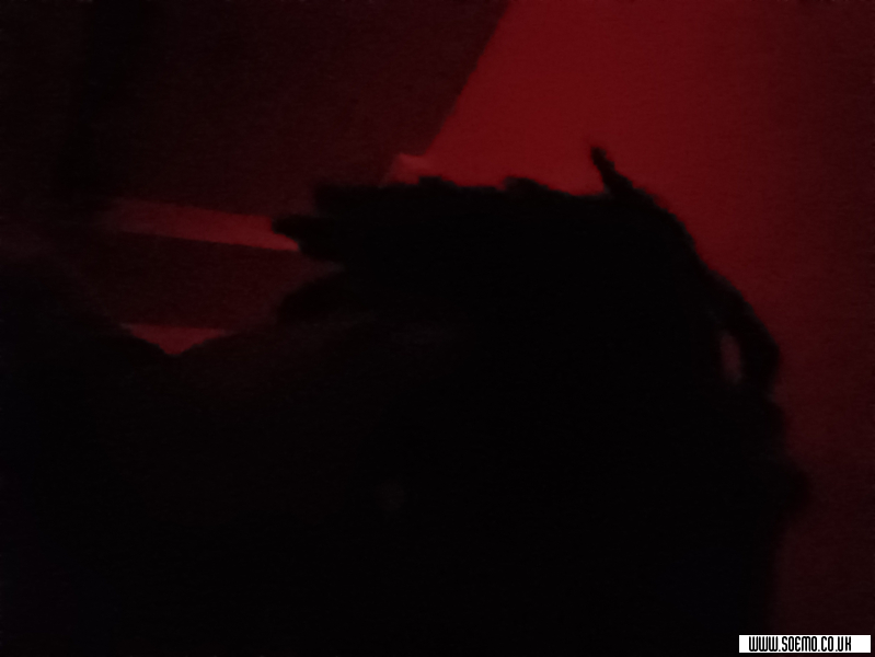 soEmo.co.uk - Emo Kids - Darkwing