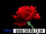 soEmo.co.uk - Emo Kids - hurt_ins1de