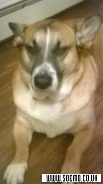 soEmo.co.uk - Emo Kids - KarlNofear