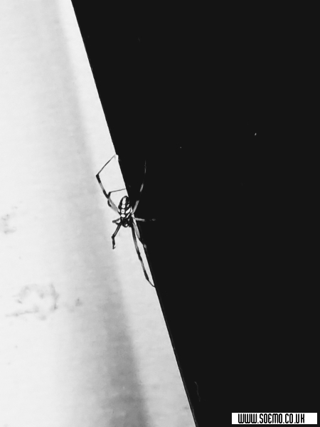 soEmo.co.uk - Emo Kids - XxpsychoticxX