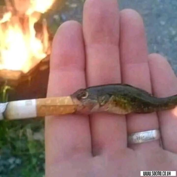 soEmo.co.uk - Emo Kids - Yamiz